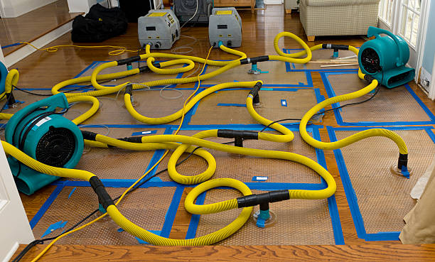 Professional Burst Pipe Water Damage technician working in Denmark, WI